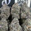 Black Cherry Runtz