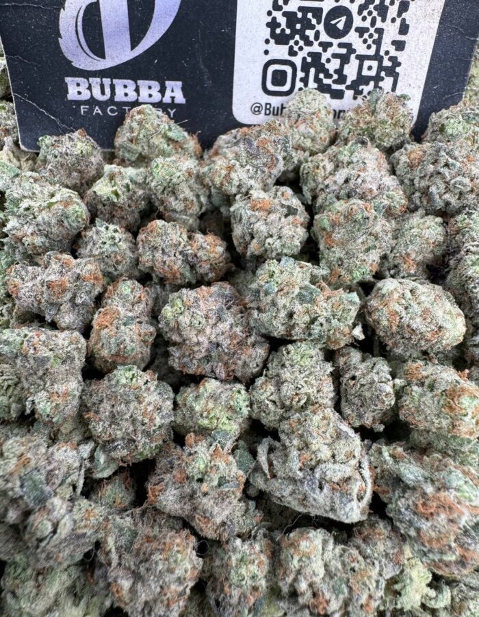 Candy Gelato Smalls