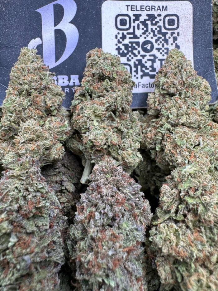 Premium Bubba