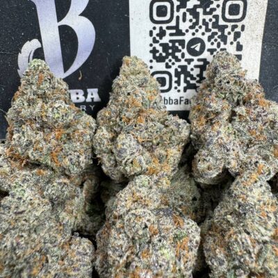 Super Gelato