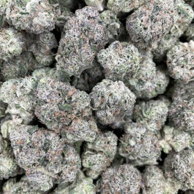 CANDY DELIGHT  LICENSED INDOOR CANDY