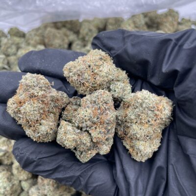 Black Cherry 